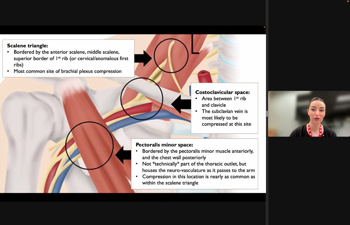 University of Utah Pain Medicine tweet media