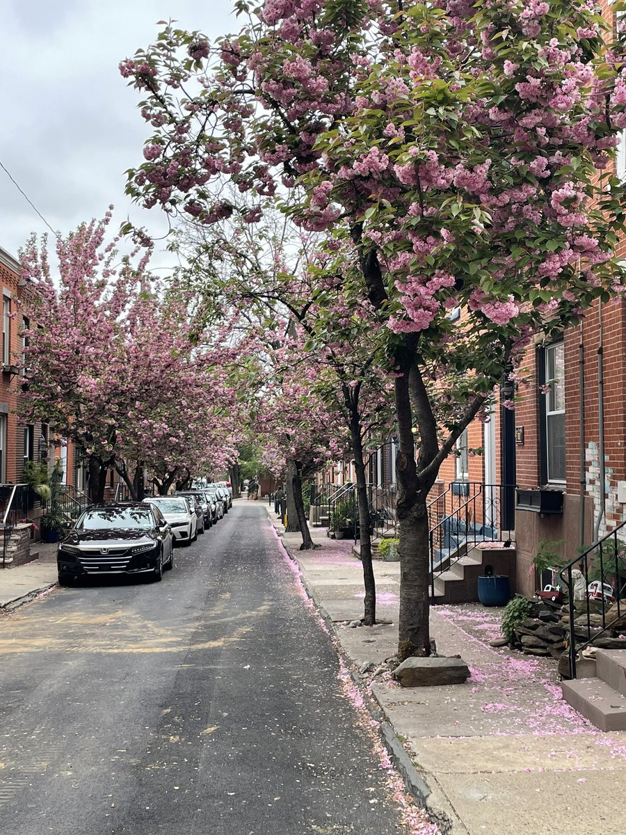 Spring in Philly is different