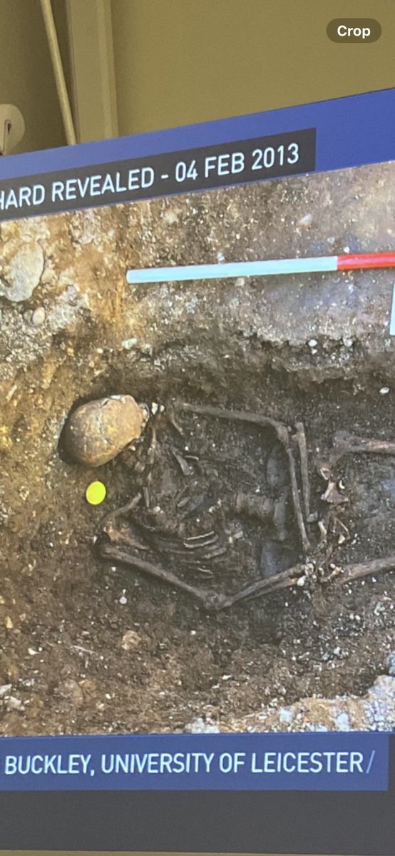 Blair Horan tweet media