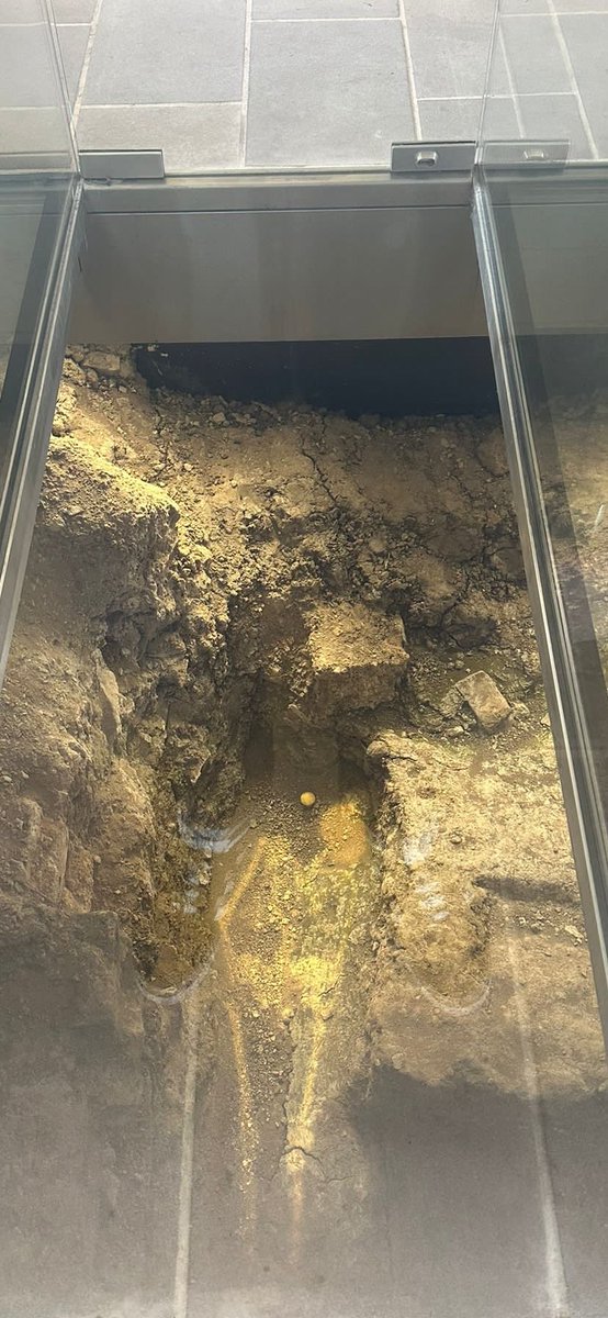 Blair Horan tweet media