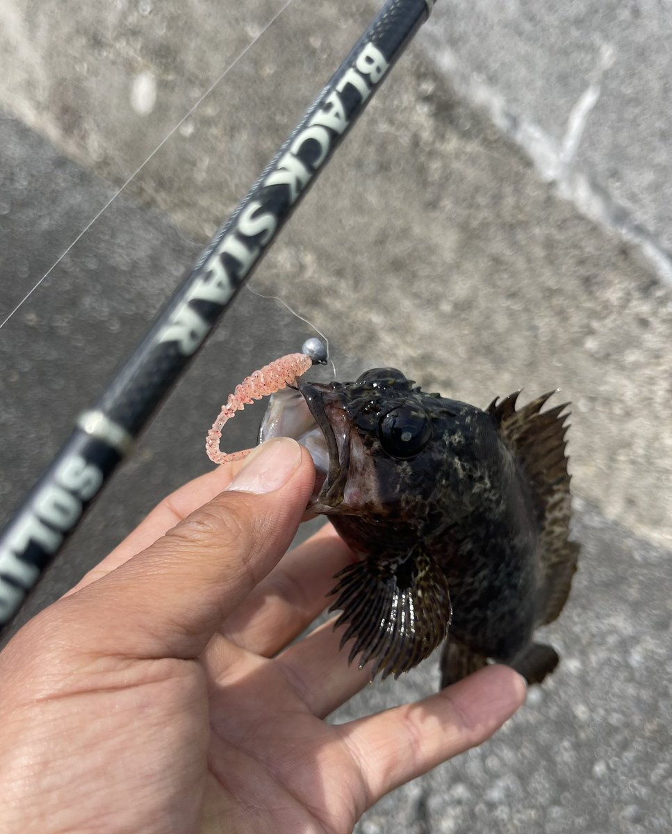 jiro_260's tweet photo. 《昼休み》
ランチタイムは早めから
昼休みを長く取る
そして休憩時間に釣り🎣
最高の現場です♬
#出張
#電気工事士
#domicraft
#ドミクラフト
#EGGLOO
#MAGBITE
#マグバイト
#バキュームリング
#xesta
#BLACKSTAR https://t.co/mFF6Dkzcjy