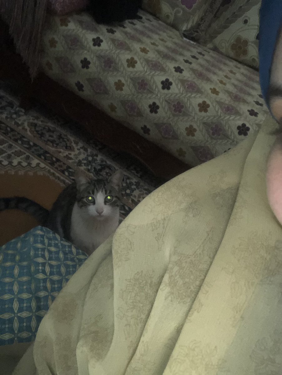 Valerie 🥀 tweet media