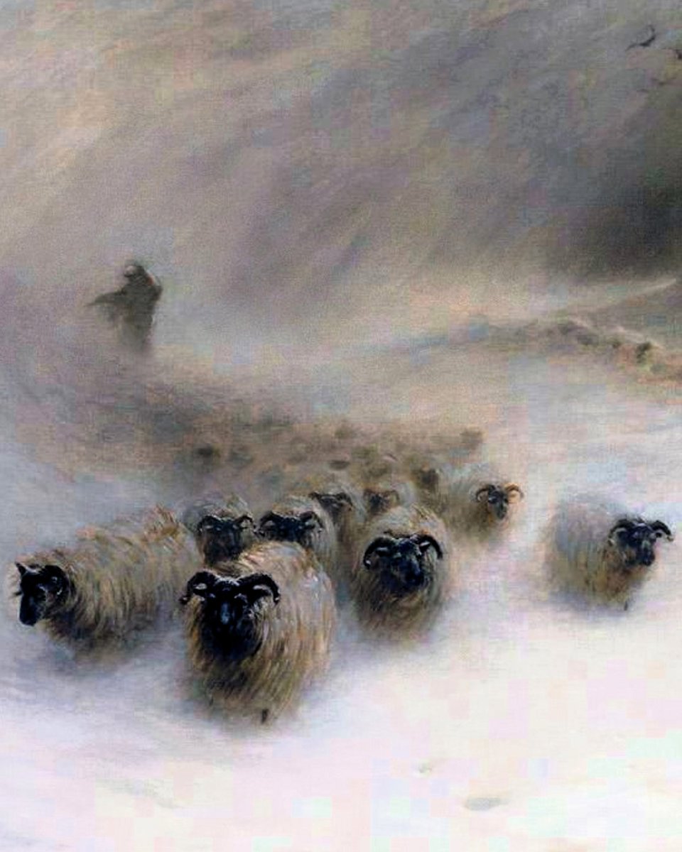 A Flock of Sheep in a Snowstorm. (1912)
Joseph Farquharson. (1846-1935)🖌️🌹
Scottish Painter.