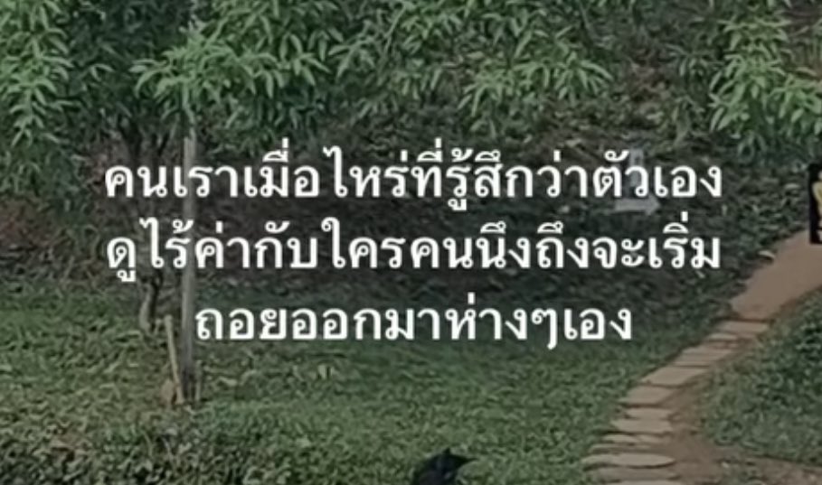ช่างแม่ง🐰🏳️‍🌈 tweet media