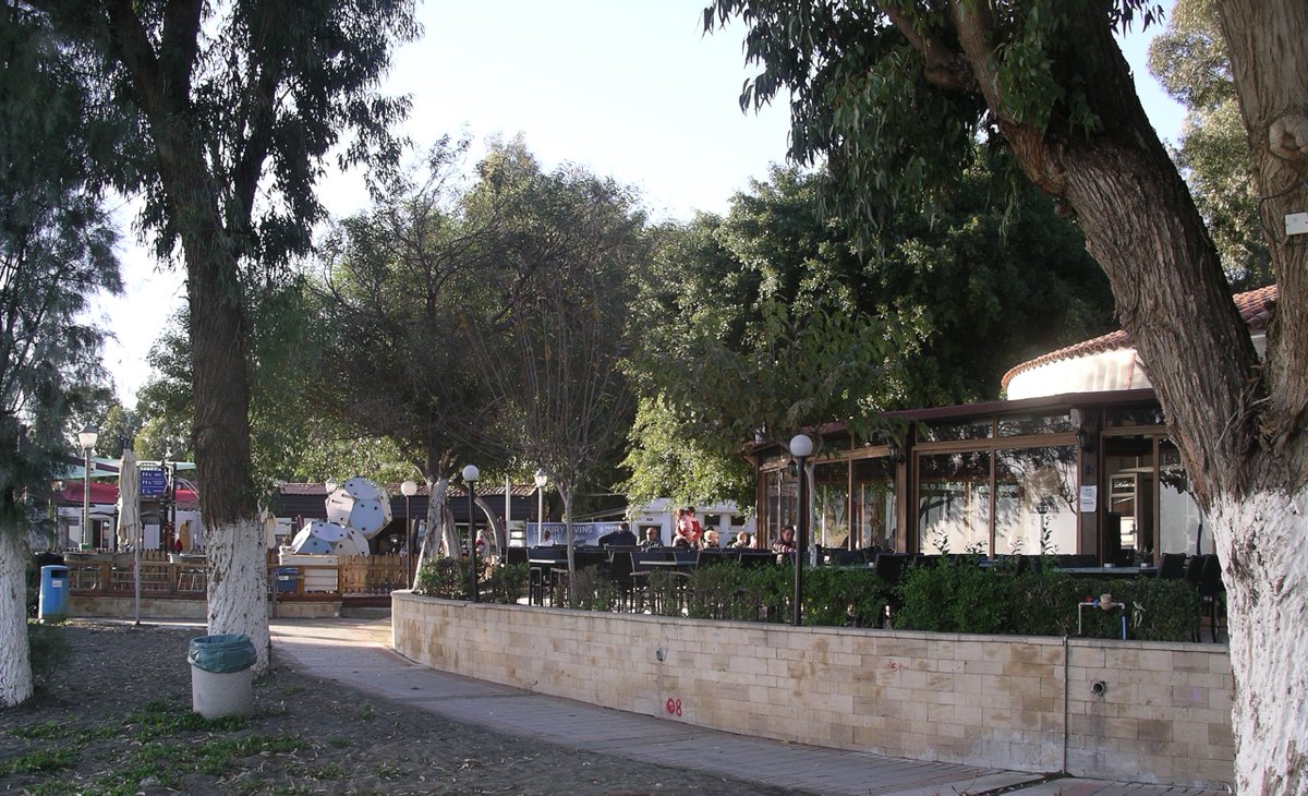Mensa Cyprus tweet media