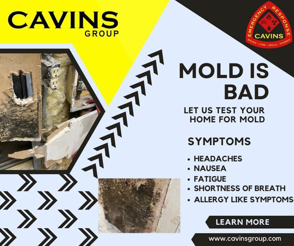 Do you have Mold? Call 405-573-3048 or 918-282-7612

#OKC #OklahomaCity #Wichita #norman #normanok #Edmond #Norman #Stillwater #mooreok #ardmore #Tulsa #oklahomacity #PaulsValley #normanoklahoma #Ardmore #CavinsGroup #Oklahoma #dallas #Kansas #Missouri #Arkansas #rogersarkansas