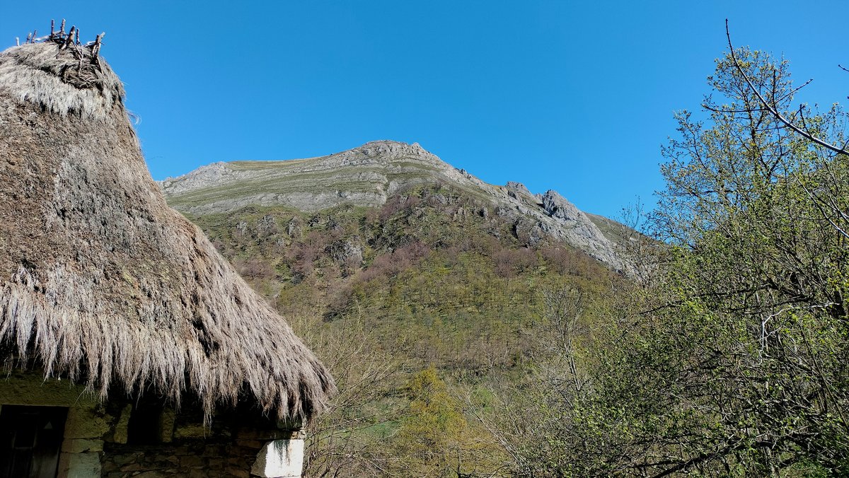 Completamos hoy el 1er turno del Campamento de Ecología 2023/2024 de @uniovi_info. Al fondo el monte El Rebollar, escenario de una parte del trabajo de campo; en Saliencia, Somiedo. Está el campo espectacular estos días.