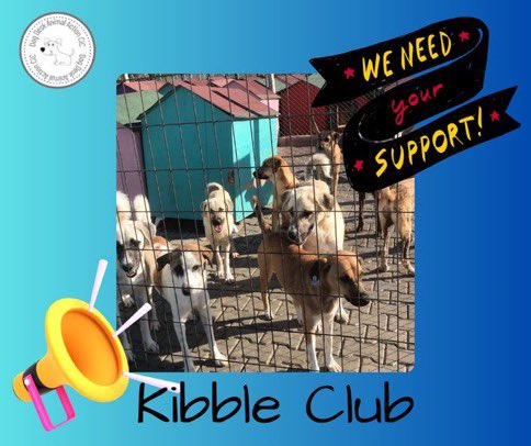 I’m a proud member of the @DogDeskAction #kibbleclub 

Please will you join me and become a member with a £2 per month contribution to help keep the #dogs at the shelter fed. 

Great things can be achieved when we all club together 🙏
⬇️⬇️

donorbox.org/kibble-club
#FeedThemAll