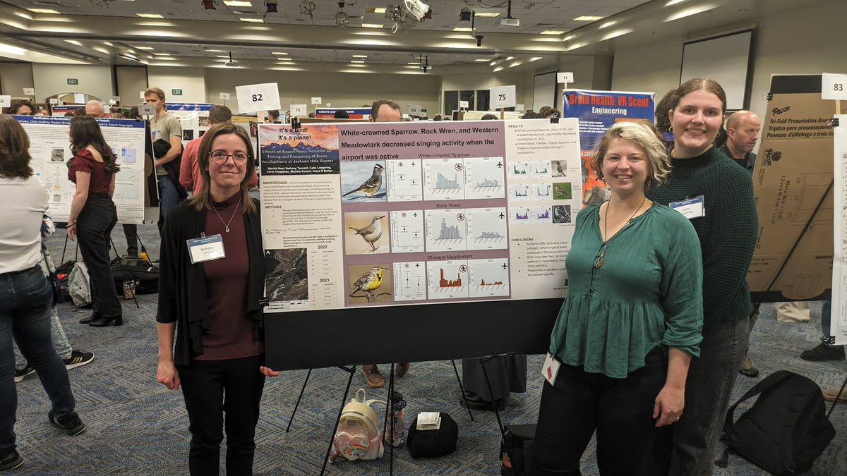 Michela Corsini🌲 tweet media