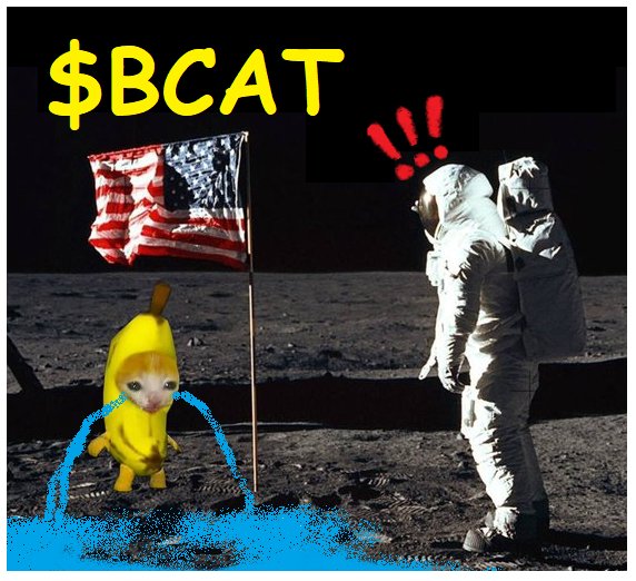 @bananacat_erc20 😤😤😤😤😤
$BCAT 
#BananaCat 
Always