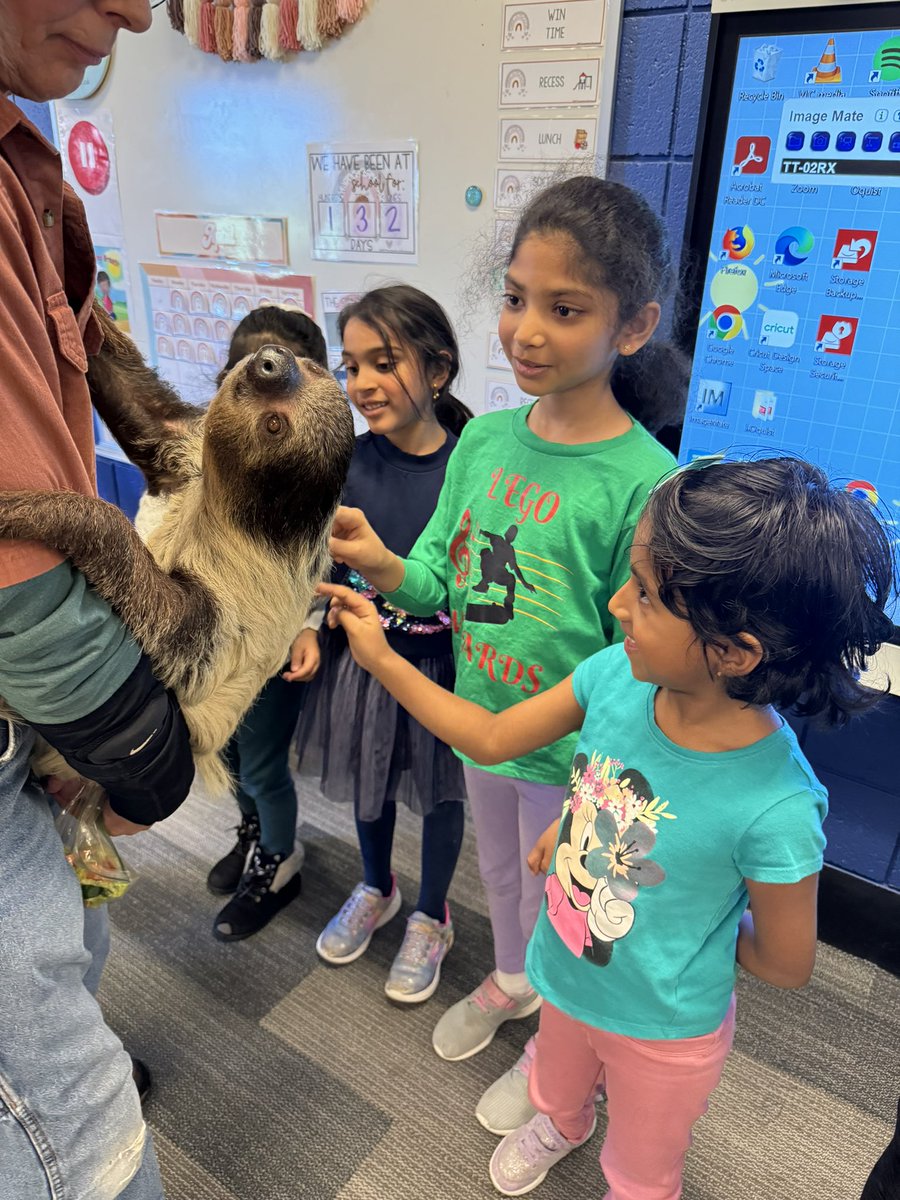 Olivia Oquist tweet media