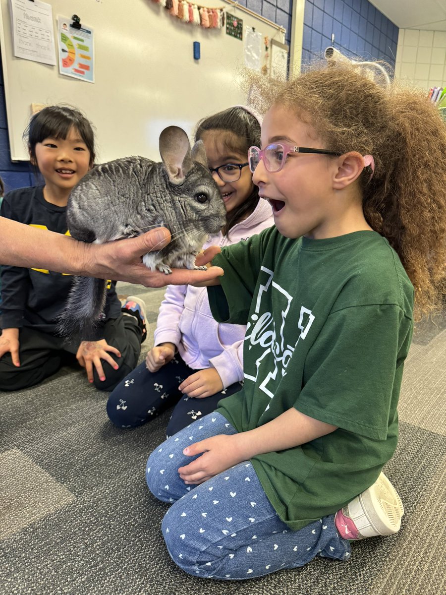 Olivia Oquist tweet media