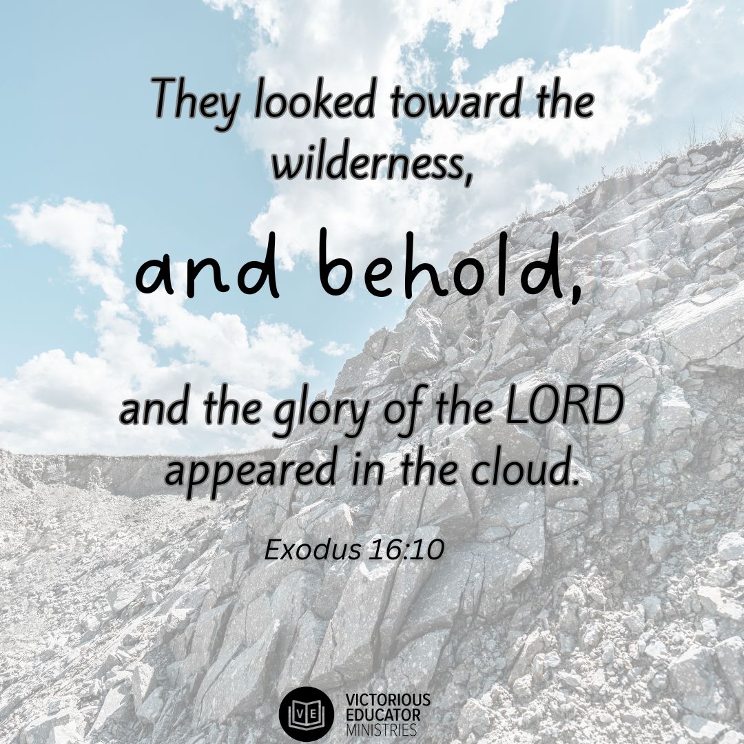 Sometimes it is in the wilderness that God's glory shines the brightest! Hang in there educator! You are not alone. #victoriouseducator #HeisFaithful #burningbush #staythecourse #Saturdayencouragement #neveralone