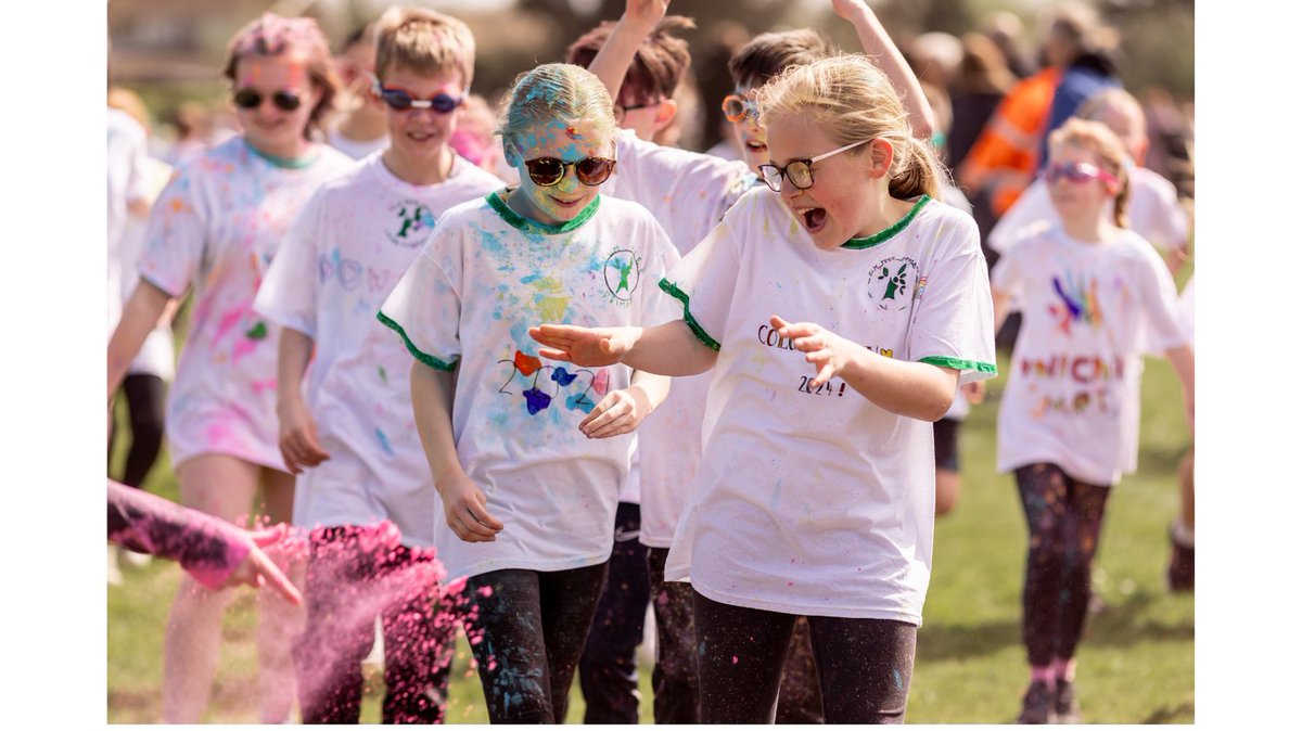 ElmTreePrimary tweet media