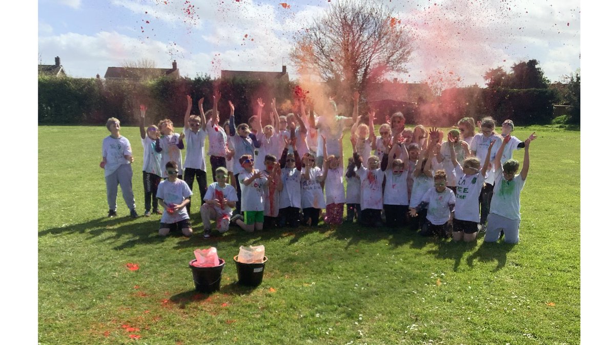 ElmTreePrimary tweet media