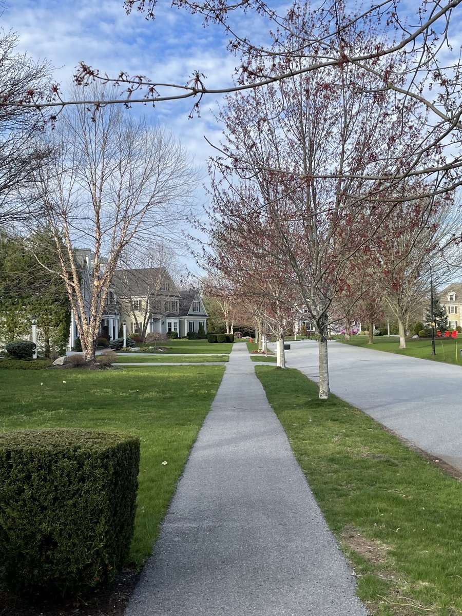 Spring, Friday, 56 F Lexington, Massachusetts