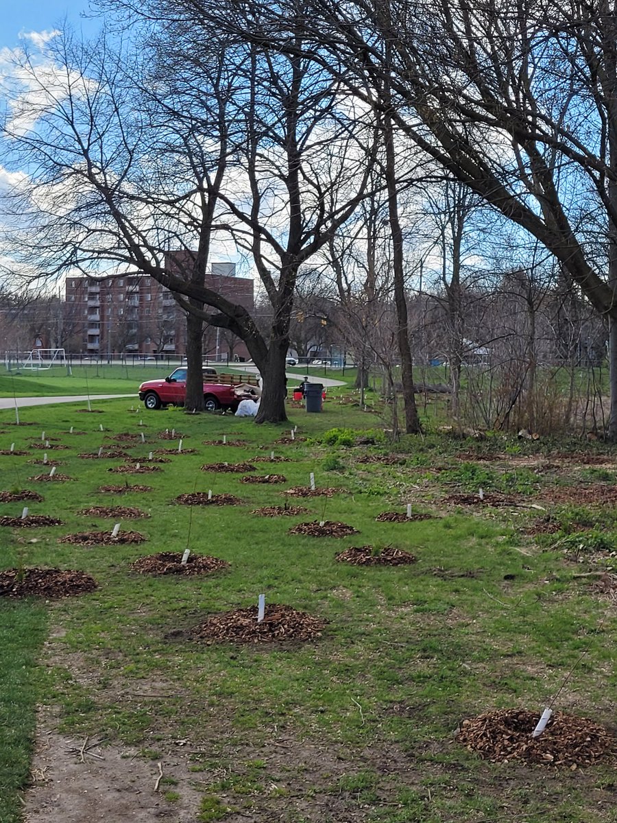 A very successful planting day. Thank you for lending a hand. @RWDI and @RJBurnside and students from @johnmccraeps and @wcdsb high school students.