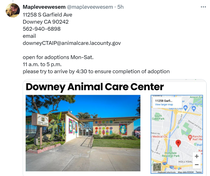 Thank you again @Dubs4Mutts for the help🤗Videos are courtesy of the Queen of Downey advocates & volunteers, Desi Lara (desidesi134 & dogsdowney on IG)
GOO-GOO's website listing
animalcare.lacounty.gov/view-our-anima…
