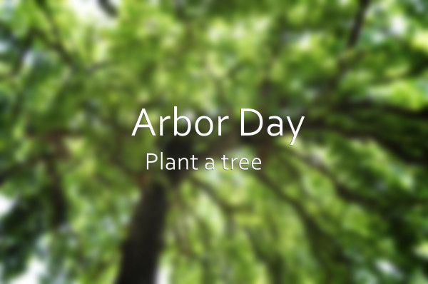 Happy Arbor Day arborday.org .... history.com/topics/holiday… ....