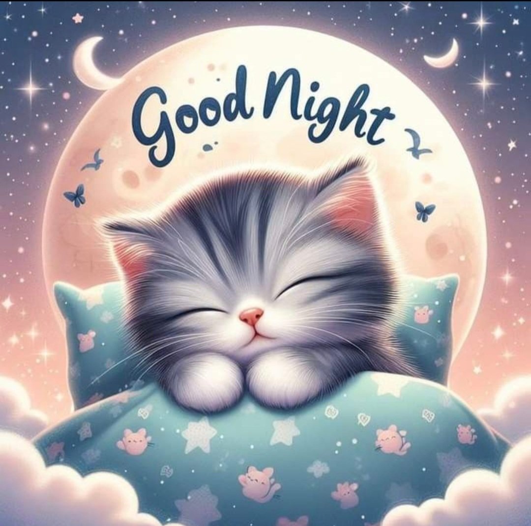 Good night n' sweet dreams #TweetVille ⭐🙋🏻‍♀️😘 See y'all tomorrow #TweetHearts ⭐🙋🏻‍♀️😘