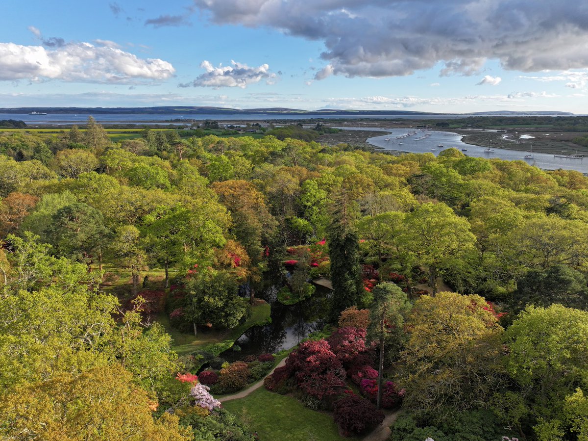 Marie-Louise Agius tweet media