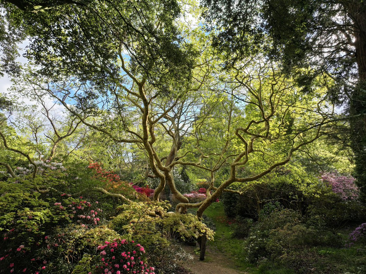 Marie-Louise Agius tweet media