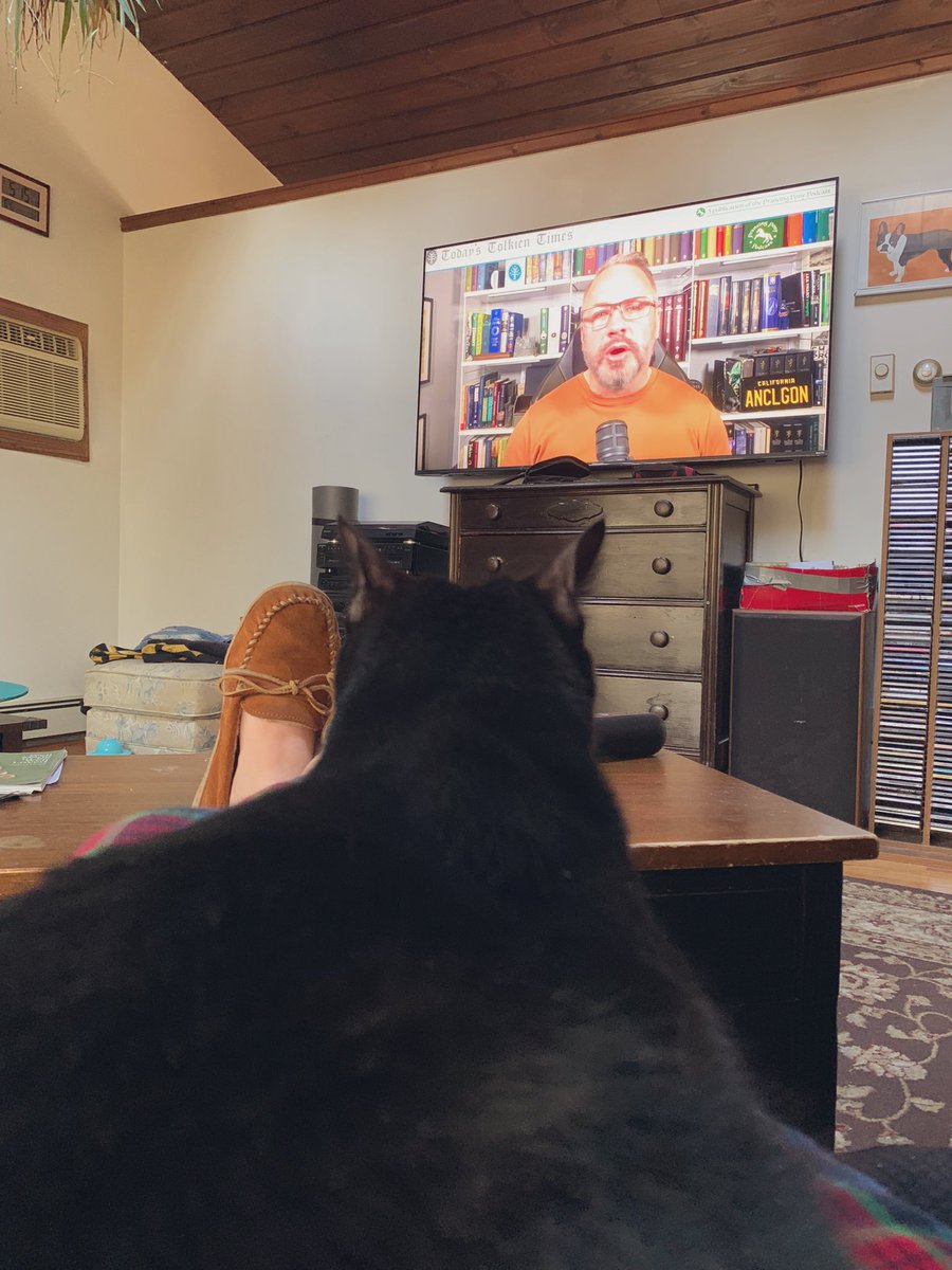 EntsandS's tweet photo. . @prancingponypod I know Alan isn’t a cat guy (you’re the only one whom I don’t hold it against) but Ares absolutely loves Today’s Tolkien Times and sits on my lap every time I put it on. So you have one cat fan. https://t.co/fHBlaDkYQR