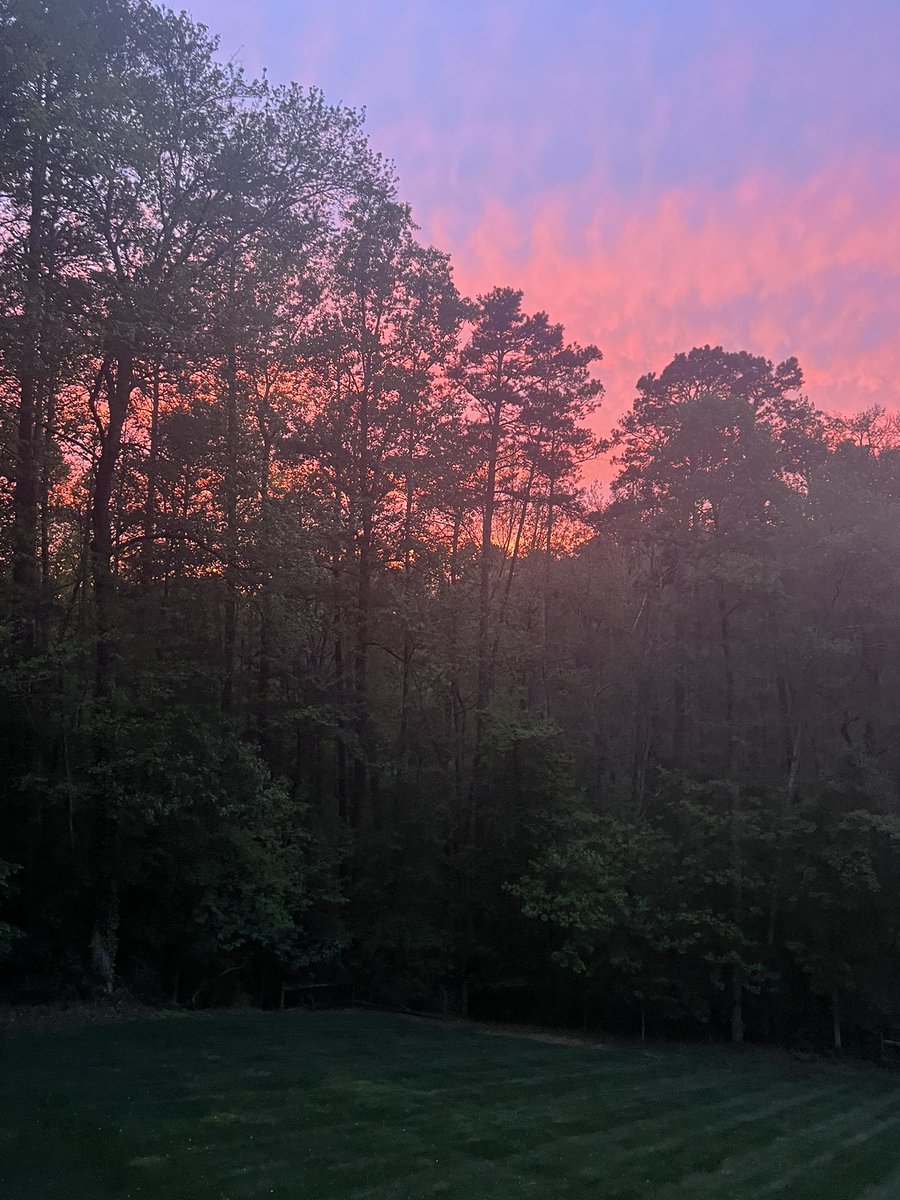 Pink Sky capture……