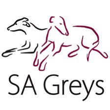 Roadrunners Give Back tweet media