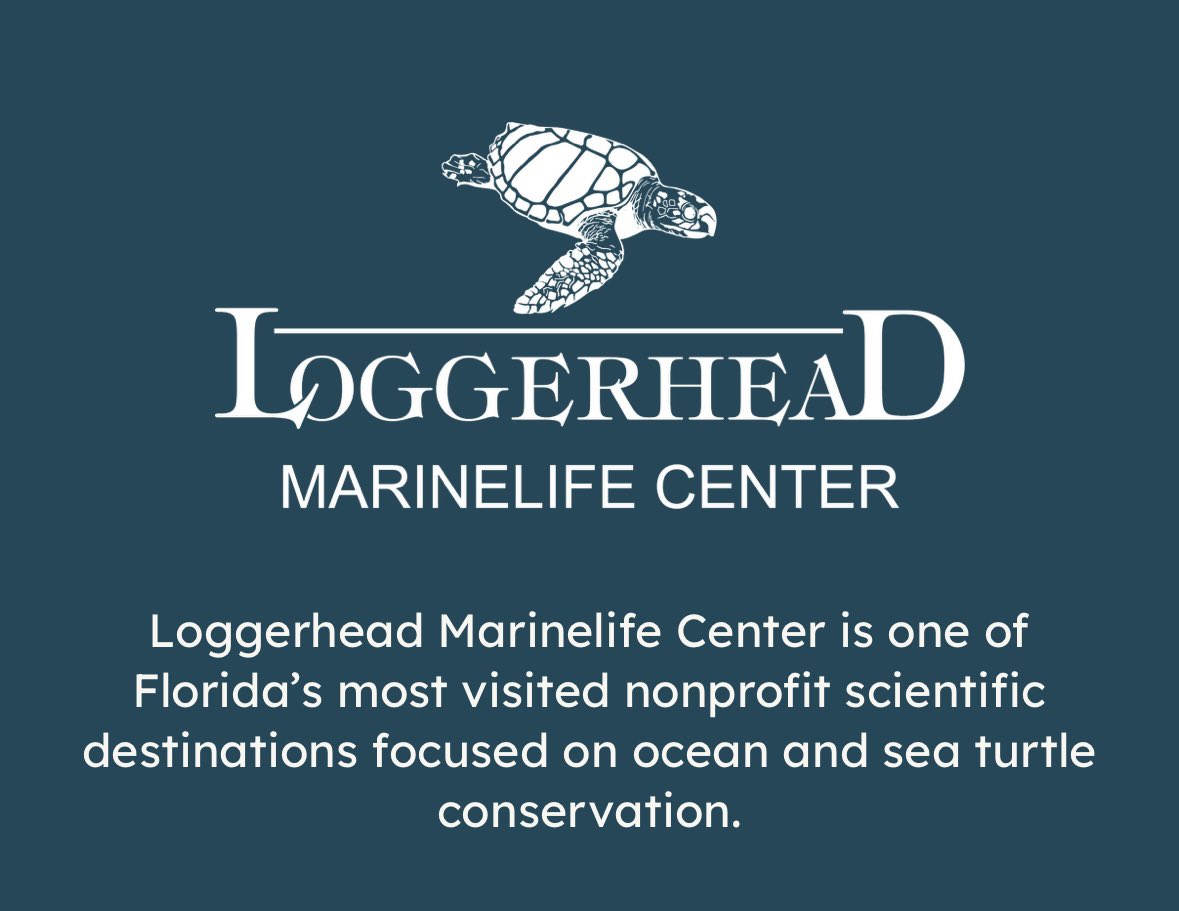 Schoolyard Films is proud to be joining the #EarthDay celebration at @LoggerheadMC tomorrow! We’ll be there to introduce our latest film at 12:15 and host a Q&A! 

So many additional events will be going on throughout the day …like the Great American Clean-Up in 🧵