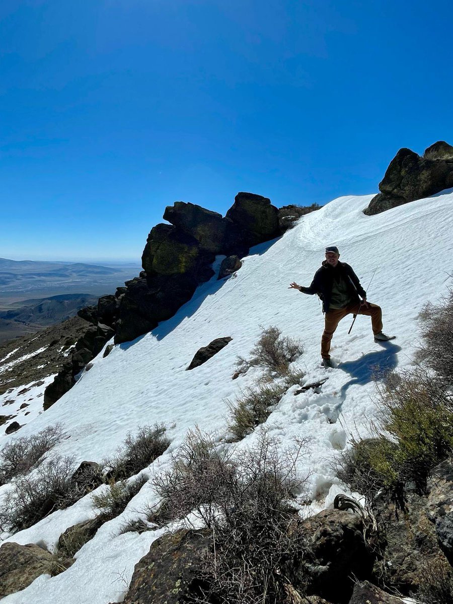 Guillermo Garcia Costoya (@ggcostoya) on Twitter photo First month of this yearâs field season : Plenty of lizard activity at low elevation but our high elevation site is not yet ripe for the zardvest. <a href="/EvoLoganLab/">Mike Logan</a> <a href="/akhilacgopal/">Akhila Gopal</a> First month of this yearâs field season : Plenty of lizard activity at low elevation but our high elevation site is not yet ripe for the zardvest. <a href="/EvoLoganLab/">Mike Logan</a> <a href="/akhilacgopal/">Akhila Gopal</a>