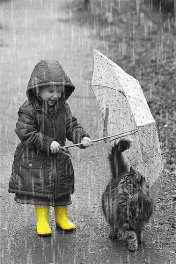 Write a #sixwordstory or a #poem about this picture. We didn’t tell anyone When we left the house I think no one heard us Even though a giggle Escaped from my mouth Rain pitter-pattered While we walked along the street I jumped in a puddle Splashing Bruce with my feet…