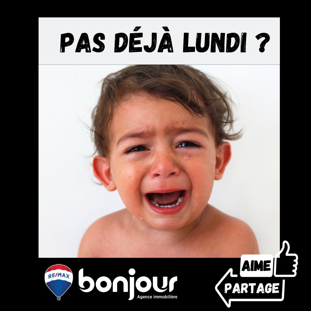 AlainRemax's tweet photo. Hé oui !
Allez, au boulot...

Alain St-Jean RE/MAX bonjour https://t.co/Kp9eAWNO92