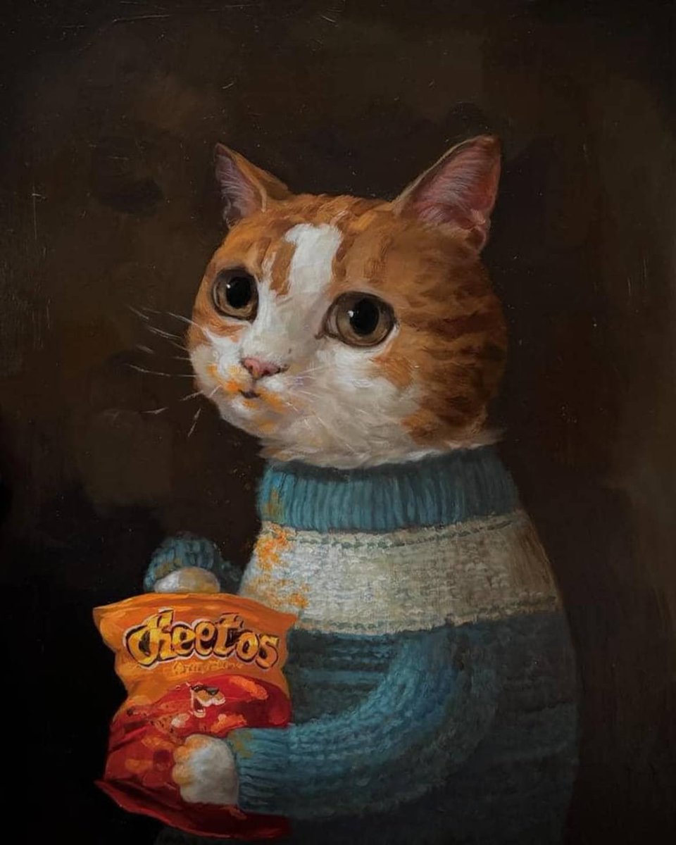 Stop what you are doing and look at this cat picture by Alison Friend.