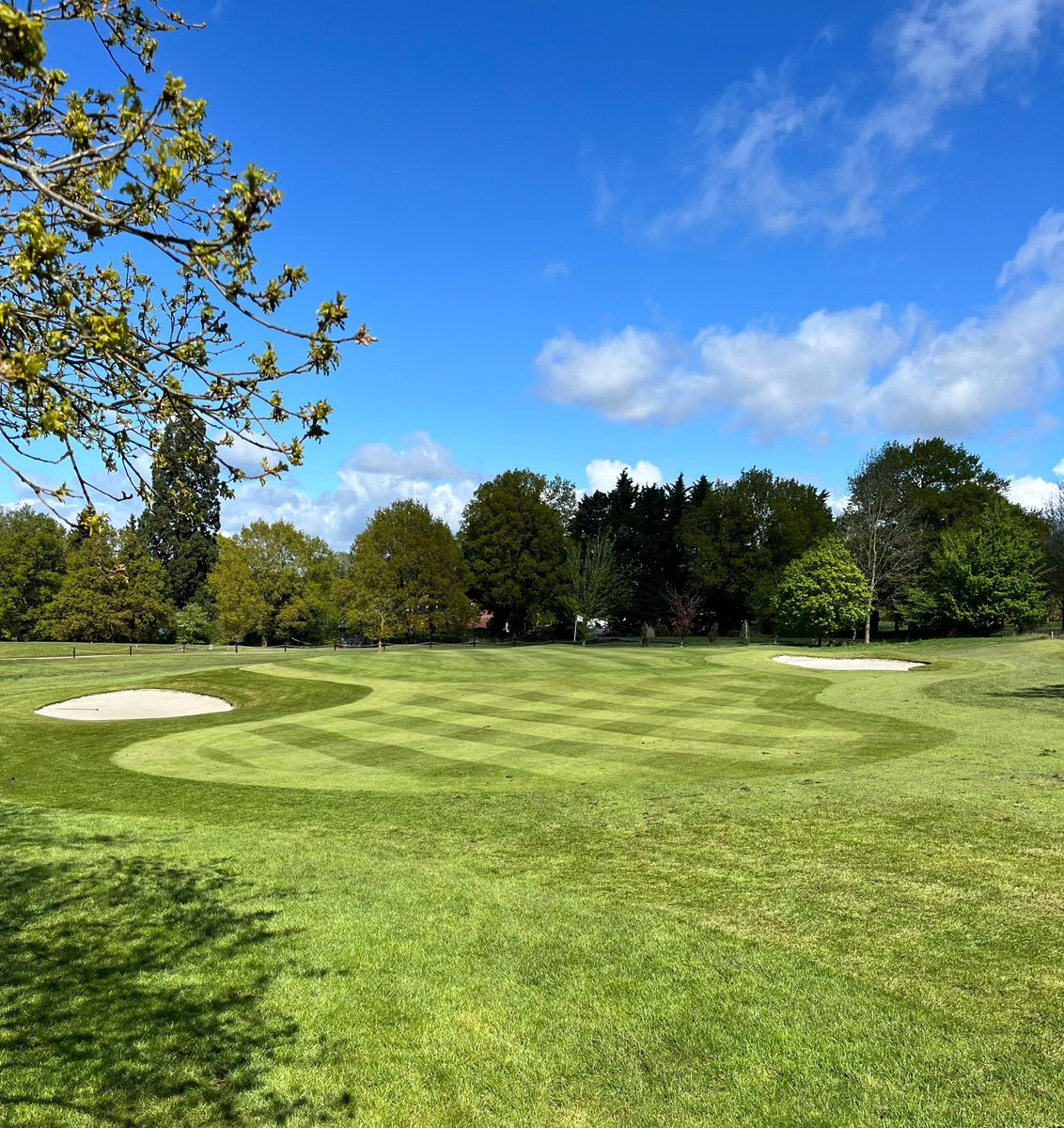 BGGCgreenkeeper's tweet photo. getting back to the best times at @BrickendonGolf @BrickoProShop https://t.co/L3FlGco9vC