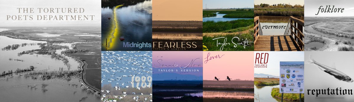 DeltaCouncil's tweet photo. We strive for a reliable #cawater supply and a resilient #sacdelta ecosystem, no matter the era.

Check out some of our favorite images from the Delta, reimagined as #TaylorSwift album covers, and subscribe to receive email announcements about our work ➡ https://t.co/AuPs0B9oG0. https://t.co/pBnPDEli0u