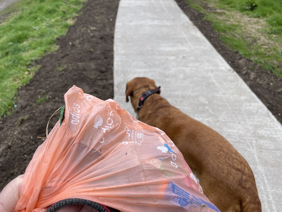 A full bag of #litter removed from Mineralwell Park, #stonehaven including a can shredded into pieces by a lawnmower across the football pitches. 

Sweets wrappers, sandwich boxes, football sock tape, bits of balls & a coffee sachet by the burn, dropped without a care. #dogsofx