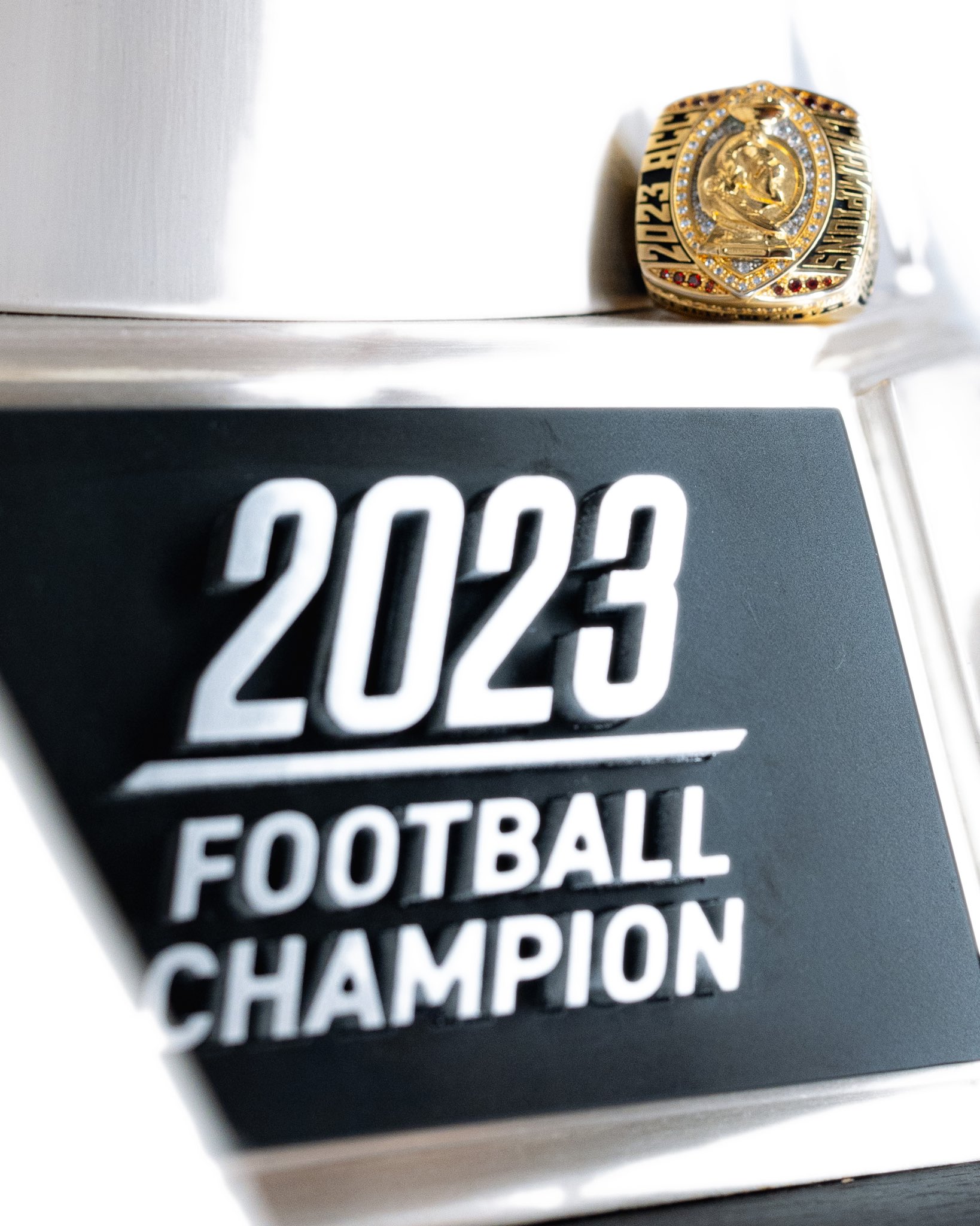 FSU Football on X To the UNCONQUERED go the spoils 16 garnet stones one for each ACC championship in program history ACC championship trophy and Seminole head logo on top