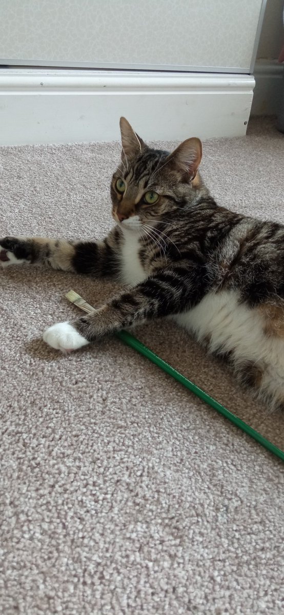 'Lighthouse' close-ups,  plus a little helper 

'Lighthouse' 
Oil on linen canvas
40x50 cm

#oilpainting #lighthouse #seascape #fineart #artcommission #Anglesey #impressionistic  #sea