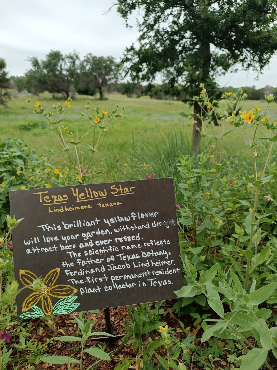 Some Texas German history @ Lady Bird Johnson Wildflower Center