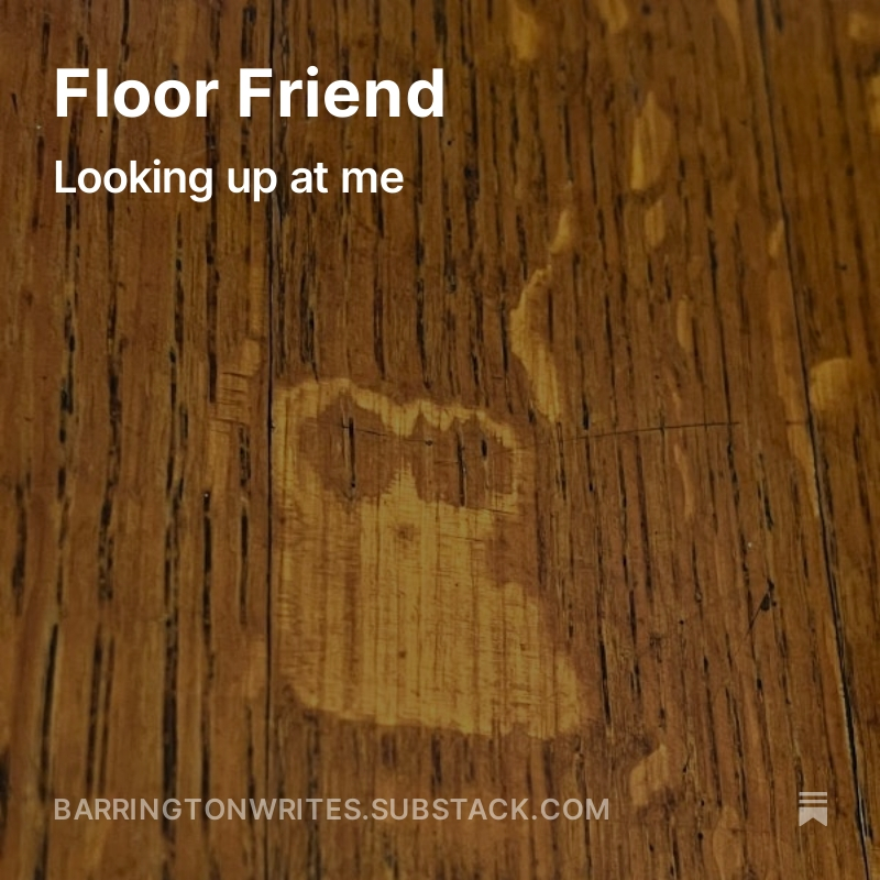 Floor Friend open.substack.com/pub/barrington… 
My 25th Wednesday of posting to Substack... an anniversary of sorts.
