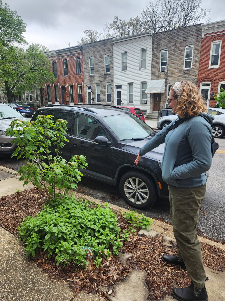 AlecHirschauer's tweet image. That&apos;s a tree... We can&apos;t have two trees. #CaraFacts #TreeFacts