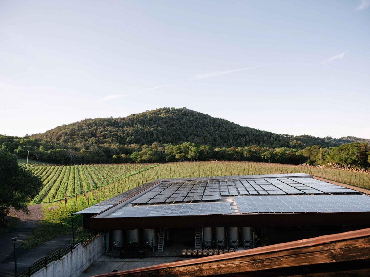 Our Barrel Chai's roof is comprised of 960 solar modules capable of producing about 280,000 kilowatt hours per year. This 20,000-square-foot solar photovoltaic system generates enough energy to offset 100% of our winery's electricity. #earthmonth #30days30ways #funinthesun