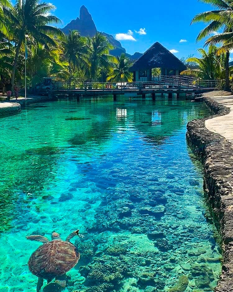 Bora Bora 🇵🇫