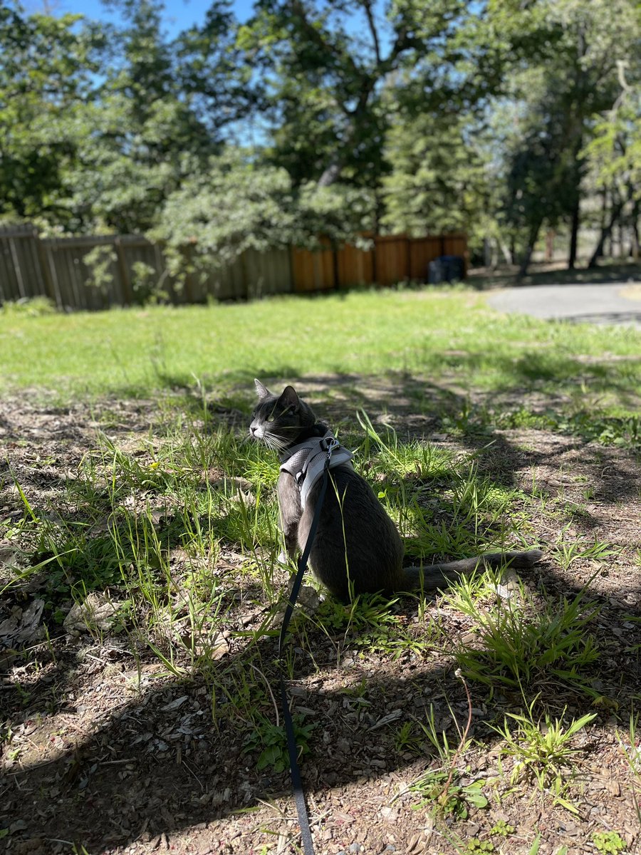 Ghost says it’s a Lovely day outside