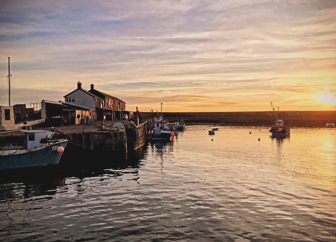 The harbour wall at Lyme Regis is called the Cobb and was built as a breakwater to protect ships and the town. Feel free to say hello to our fishermen and check out the amazing seafood we are landing. 

#EatOurFish #fishermenled #cic #coastalcommunities 

📸John-Mark Strange