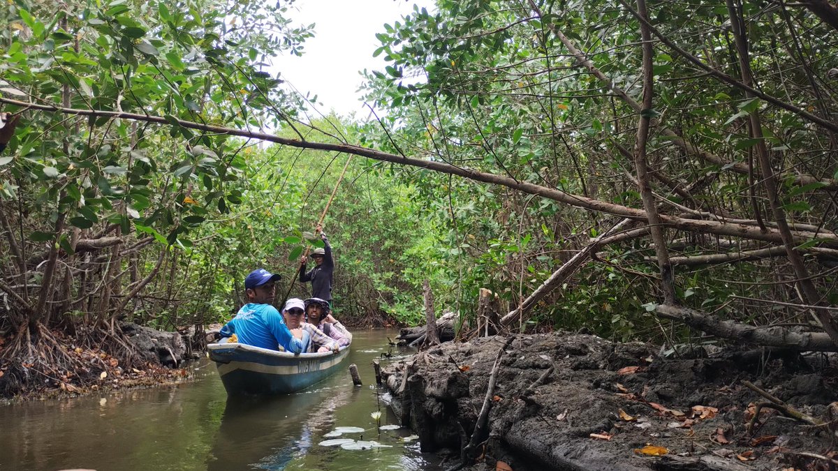 invemarcolombia's tweet photo. El @acuarionacionalcuba e INVEMAR participan de la estrategia bilateral de cooperación para la resiliencia, restauración artificial y natural de arrecifes coralinos/manglares afectados y/o amenazados por el cambio climático y el impacto antrópico. @APCColombia @SEIenEspanol https://t.co/GjRyyjjTF4