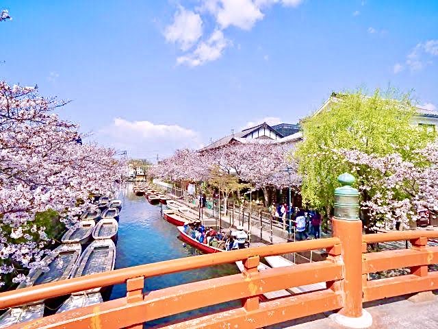 『柳川川下り』柳川市 日本🇯🇵🗾🌉🌸🌸🌸🌿💧💦🩵🚣‍♂️