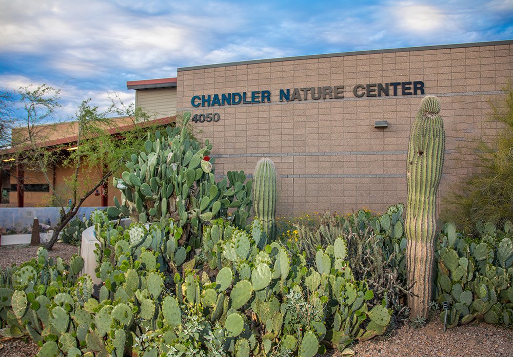 .@chandlerazmayor invites the public to come together for a listening session to address teen violence and behavioral health in our community. ⏰5:30 – 7 p.m. 📆Monday, April 29 📍Chandler Nature Center Learn more and register online at chandleraz.gov/ListeningSessi…