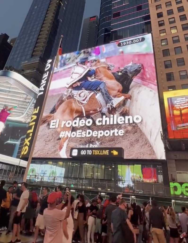 vidalcvale's tweet photo. Llegó al Times Square en Nueva York la campaña "El rodeo no es deporte".

Obra de animalistas Chilenos 🇨🇱 https://t.co/mZHMorZkxL